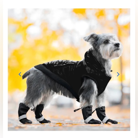 Canada Pooch NWOT Soft Shield Dog Boots sz 2 rain/snow protection original bag - Picture 9 of 13